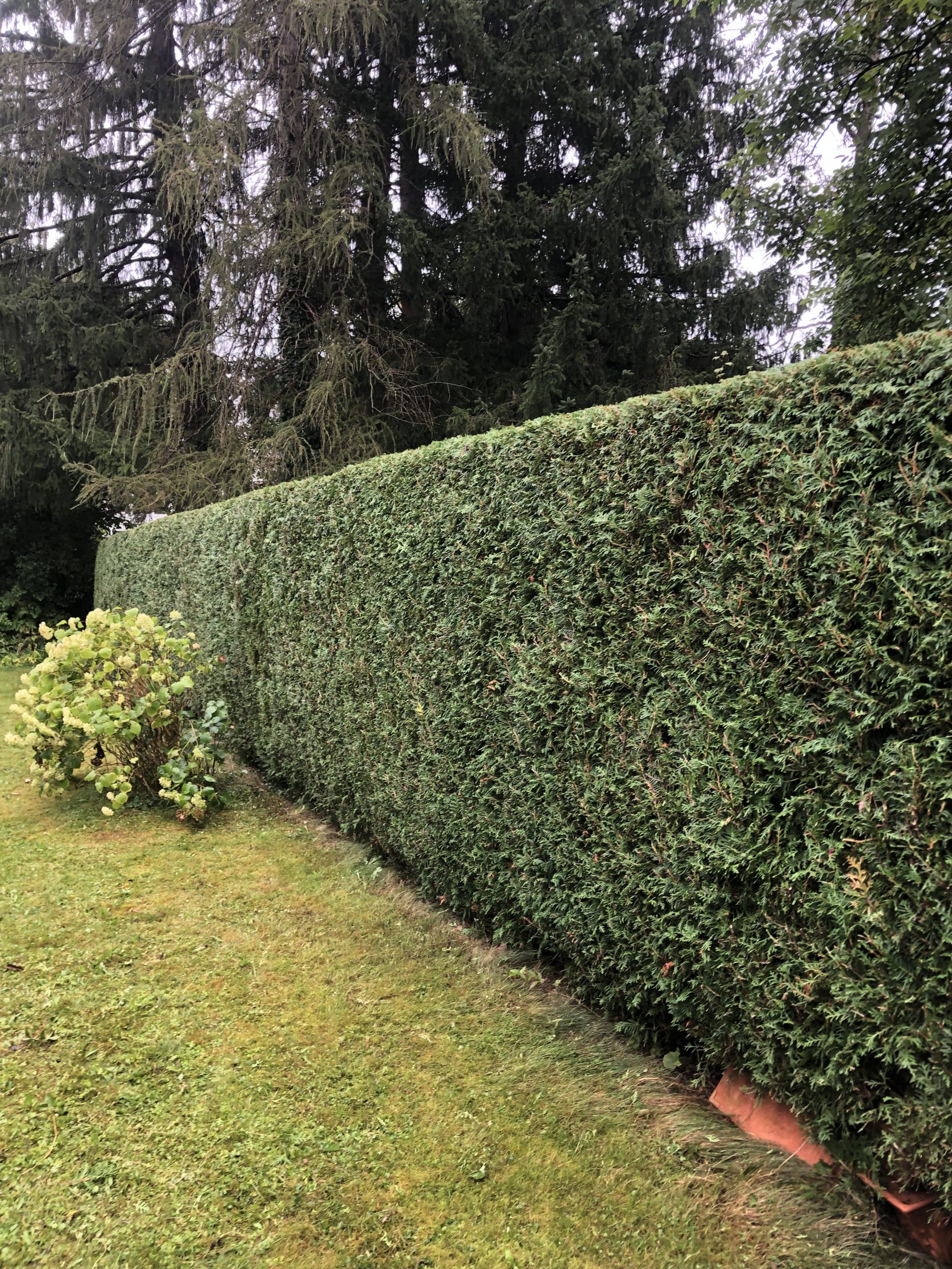 Before image