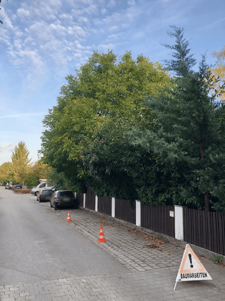 Lichtraumprofilschnitt über die Straße