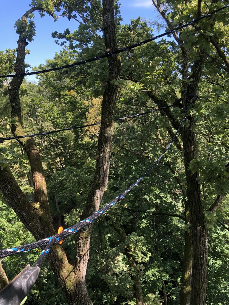 Kronensicherung